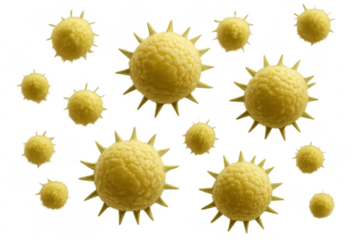 Yellow Virus Cells Floating on Transparent Background