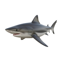 Fototapeta premium Great white shark on black background studio