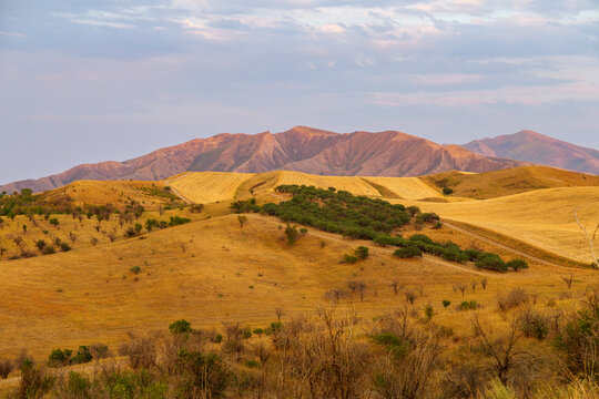 Vibrant summer mountains landscape - meadows in highlands