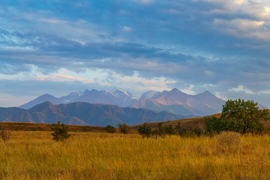 Vibrant summer mountains landscape - meadows in highlands