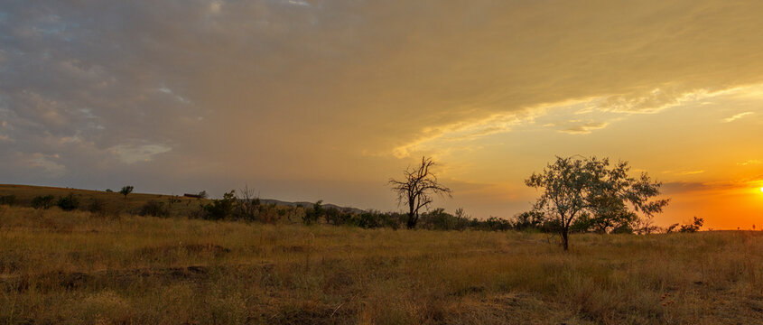 Vibrant summer mountains landscape - warm sunset meadows in highlands