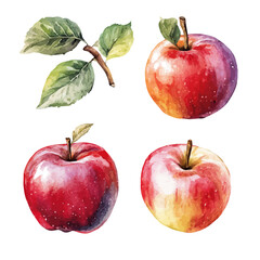 A hand-drawn illustration painting of a velvet apple fruit  set in soft watercolor style, featuring delicate brush strokes, isolated on a white background, artistic, painted design, EPS format, set