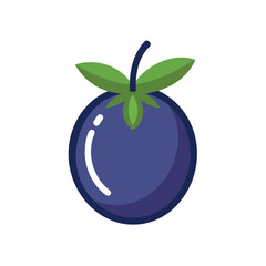 Vector illustration of an Acai Fruit