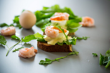 Sandwich with egg and shrimp on gray background from above