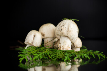 White champignons on black background
