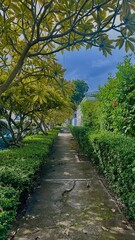 path with trees and bushes in the city. Gazcue, Santo Domingo, Dominican Republic 