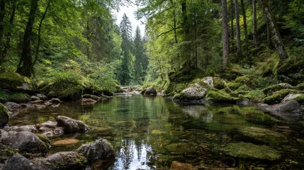 Fotobehang Bos rivier A tranquil forest stream flows gently between mossy rocks and lush green trees reflecting the sky.  © NOOR