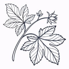 black and white leaves