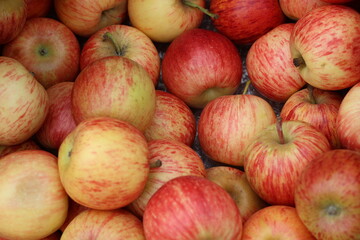 Red and white apples spread all over the screen. Food background. View from above.