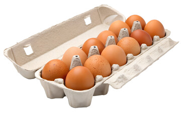 A dozen fresh brown chicken eggs in an open recycled paper pulp carton, a natural food ingredient isolated on a clean white background.