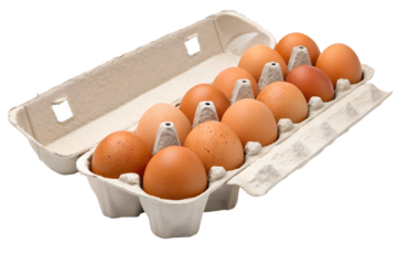 A dozen fresh brown chicken eggs in an open recycled paper pulp carton, a natural food ingredient isolated on a clean white background.