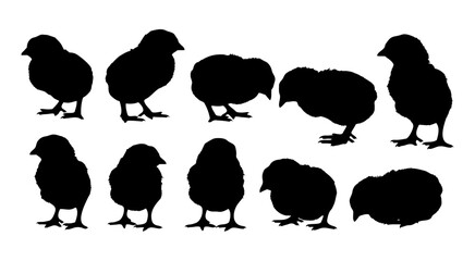 Silhouette illustration of ten baby chicks in various positions For Thanksgiving Vector Design