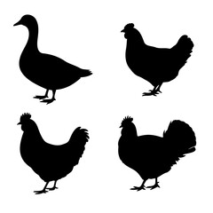 Silhouette illustration of a goose and various chicken species For Thanksgiving Vector Design