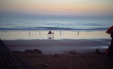 Camel and People Walking on the Beach at Sunset