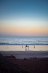 Camel and People Walking on the Beach at Sunset