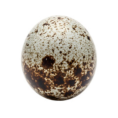 Detailed view of a speckled bird egg