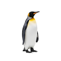 Majestic king penguin standing, isolated on white background, showcasing its striking plumage.