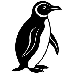 Obraz premium Penguin