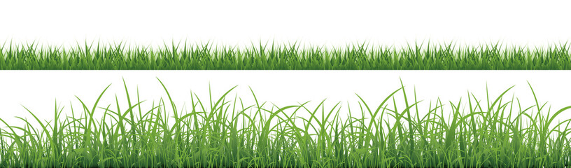 Green Grass Isolated With White Background
