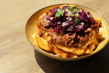 Pulled pork with fries meal. Tasty shredded meat on golden fries. Topped with red cabbage, onions and herbs. Delicious fast food served in bowl. Comfort street food dish in natural daylight.