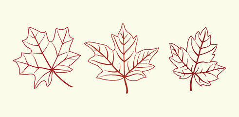 Collection of simplicity maple leaf freehand drawing flat design vector