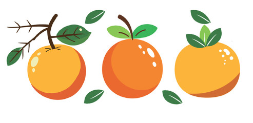 Vector Three cartoon oranges with leaves, one attached to a branch, isolated on white.