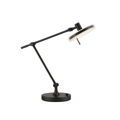 Modern articulating desk lamp in black finish
