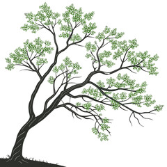 Obraz premium Tree with fresh green leaves vector featuring floral and seasonal elements, perfect for prints, web, or digital design.