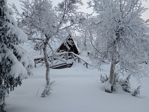 Winterwunderland
