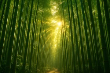 Fototapeta premium A breathtaking bamboo grove where sunlight pierces the lush green canopy