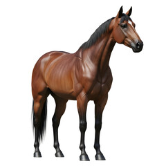 Obraz premium Elegant brown horse standing in profile view