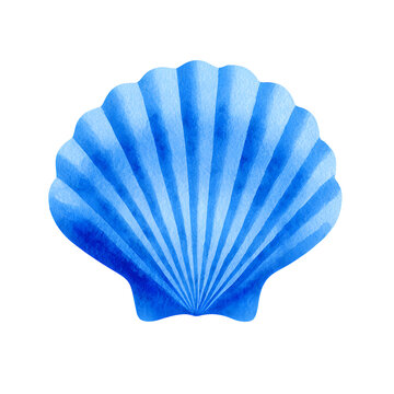 Bright blue stylized seashell isolated on white, ideal for beach design elements, summer visuals, or travel and marine-themed compositions.