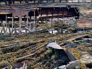 old abandoned sunken ship in the water at the ship cemetery wood pattern
