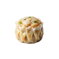 Delicious shumai Asian dumpling on black