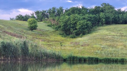 landscape with trees and lake