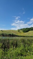 green field and blue sky