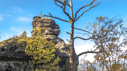 Huge boulders of the sandstone mountains of the Saxon Switzerland National Park. Close-up