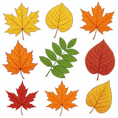 Autumn Leaf Collection, Colorful Fall Leaves, Various Leaf Types