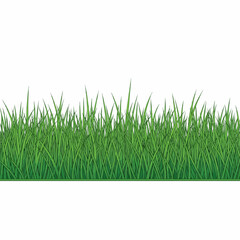 Fototapeta premium Lush Green Grass & Bush Collection