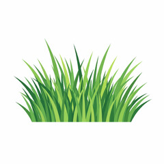 
Lush Green Grass & Bush Collection