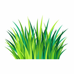 
Lush Green Grass & Bush Collection