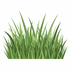 
Lush Green Grass & Bush Collection