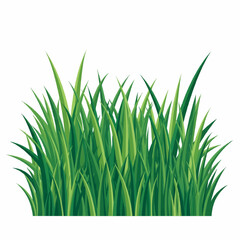 
Lush Green Grass & Bush Collection