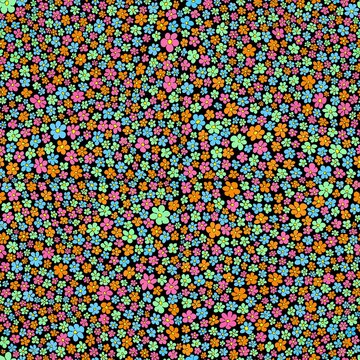 seamless pattern of a colorful flower background