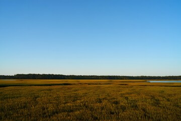Obraz premium Aerial view of coastal marshland landscape with blue sky and green vegetation area