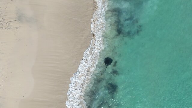 Aerial Drone View of Stingray at Hamelin Bay Beach in Western Australia
