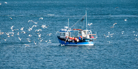 fishing boat at sea surrounded by seagulls 