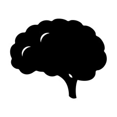 Stylized Black Silhouette of a Human Brain Symbol on a White Background