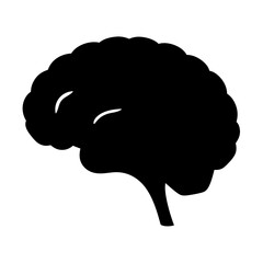 Monochrome Brain Silhouette Illustration Representing Human Anatomy and Cognitive Processes