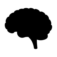 Stylized human brain silhouette illustration on white background showcasing neurological functions